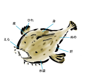 鮟鱇部位図