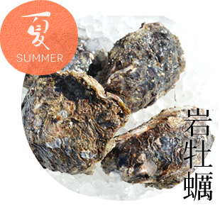 夏 岩牡蠣