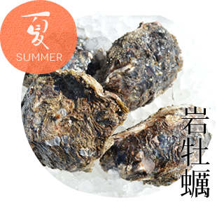 夏 岩牡蠣