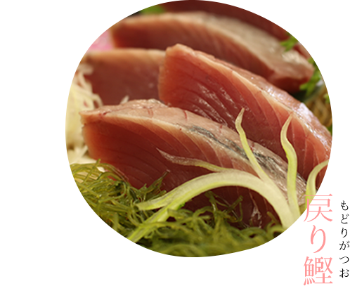 戻り鰹（もどりがつお）