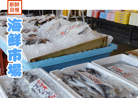 新鮮自慢 海鮮市場