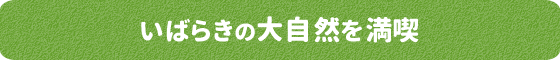 いばらきの大自然を満喫