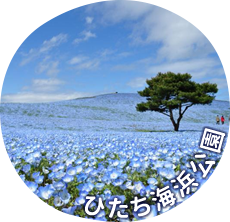 ひたち海浜公園